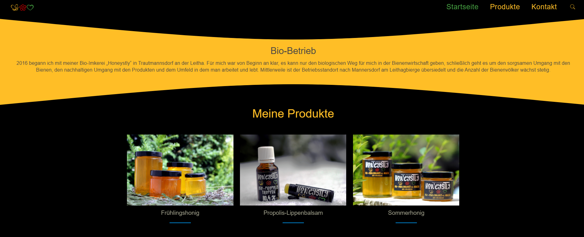 Frühere Produktübersicht
