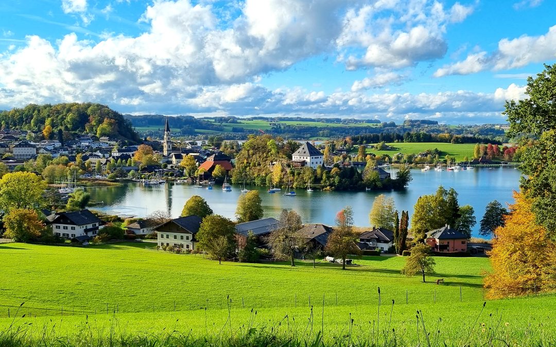 Neue Ausschüsse in der Gemeindevertretung Mattsee