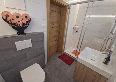 Badezimmer des Roten Apartments im Almblick