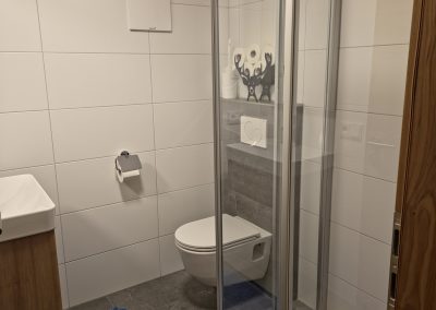 Badezimmer des Blauen Apartments im Almblick